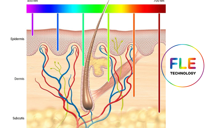 Illustration of FLE's interaction with skin layers