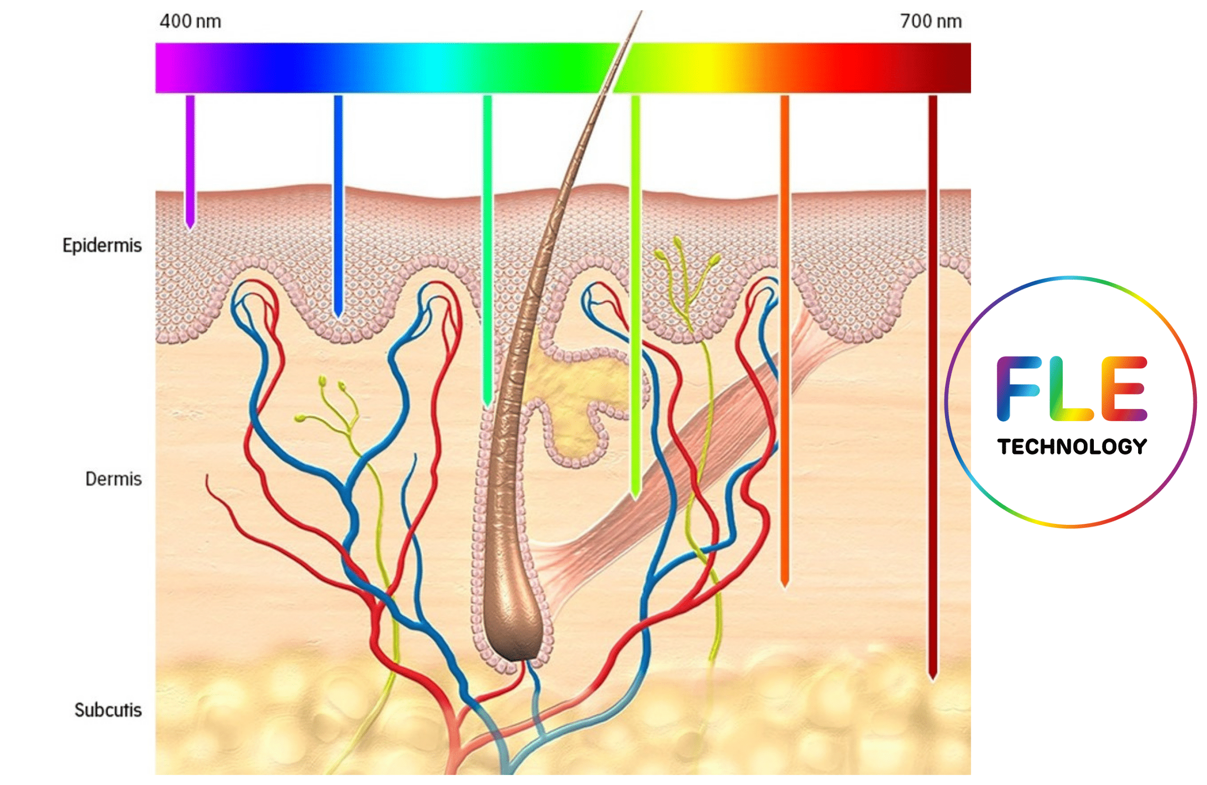 LED Light Therapy
